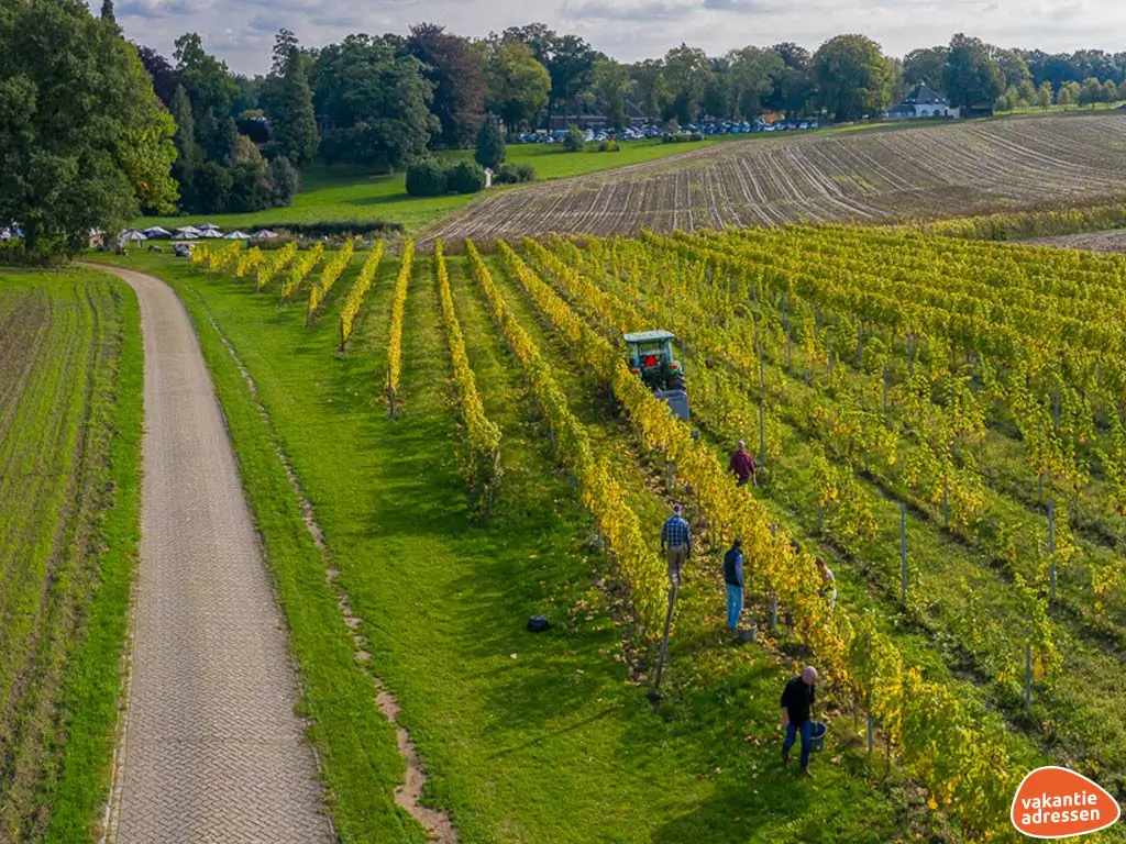 Vakantieadressen accommodatie afbeelding