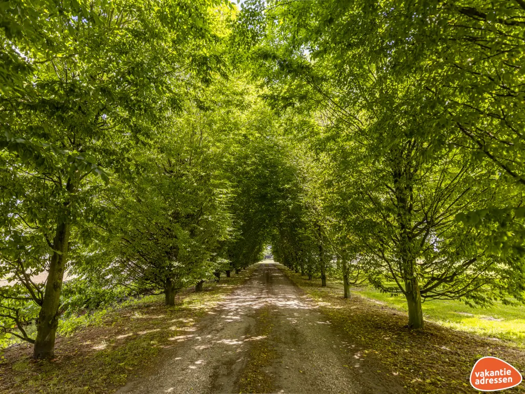 Vakantieadressen accommodatie afbeelding