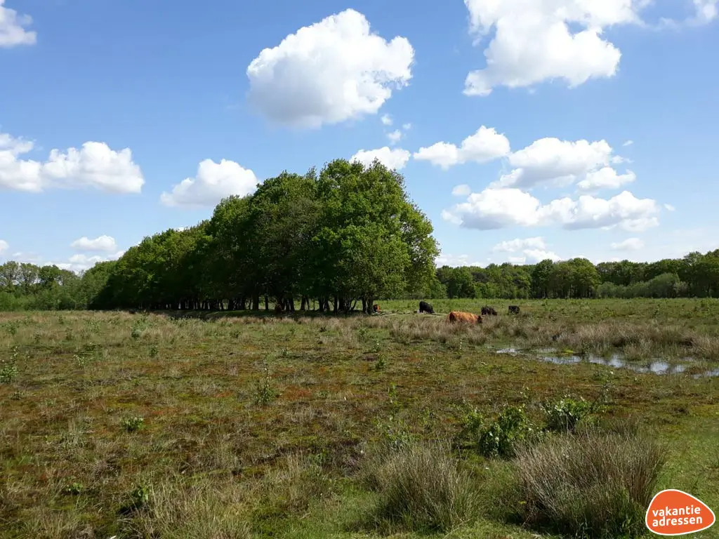 Vakantieadressen accommodatie afbeelding