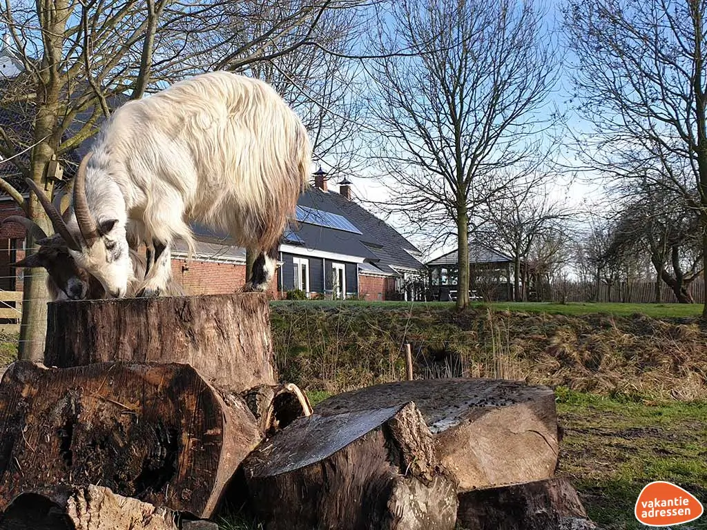 Vakantieadressen accommodatie afbeelding