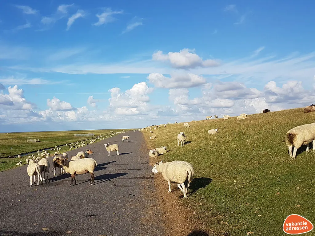 Vakantieadressen accommodatie afbeelding