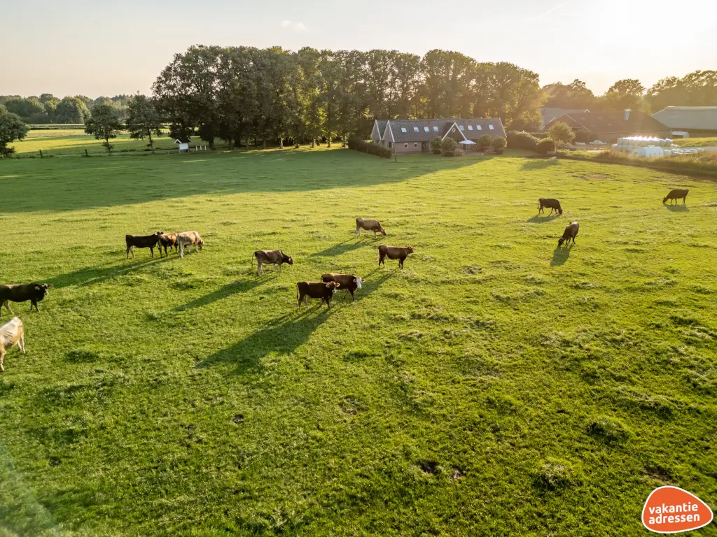 Vakantieadressen accommodatie afbeelding