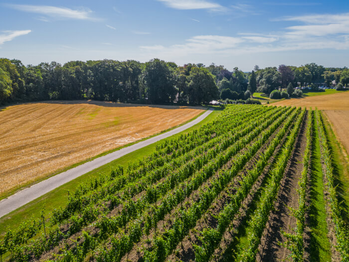 Vakantiehuis in Berg en Dal (Gelderland) voor 20 personen met 10 slaapkamers.