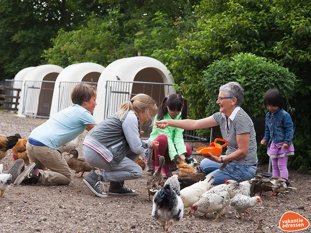 Vakantieadressen accommodatie afbeelding