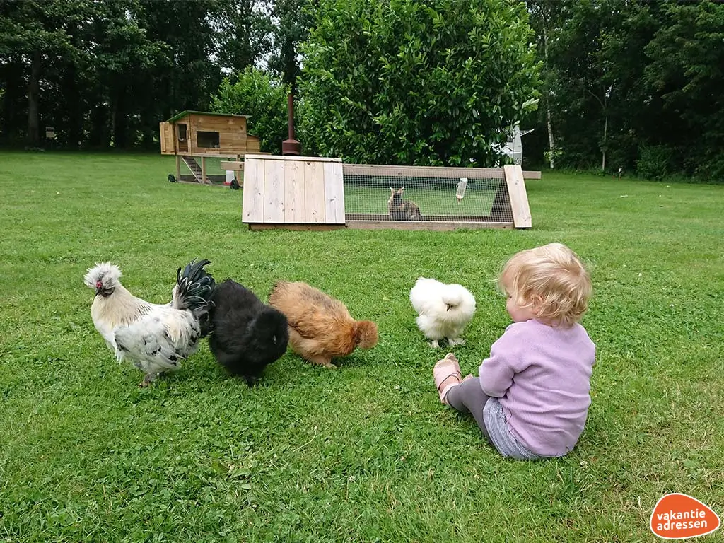 Vakantieadressen accommodatie afbeelding