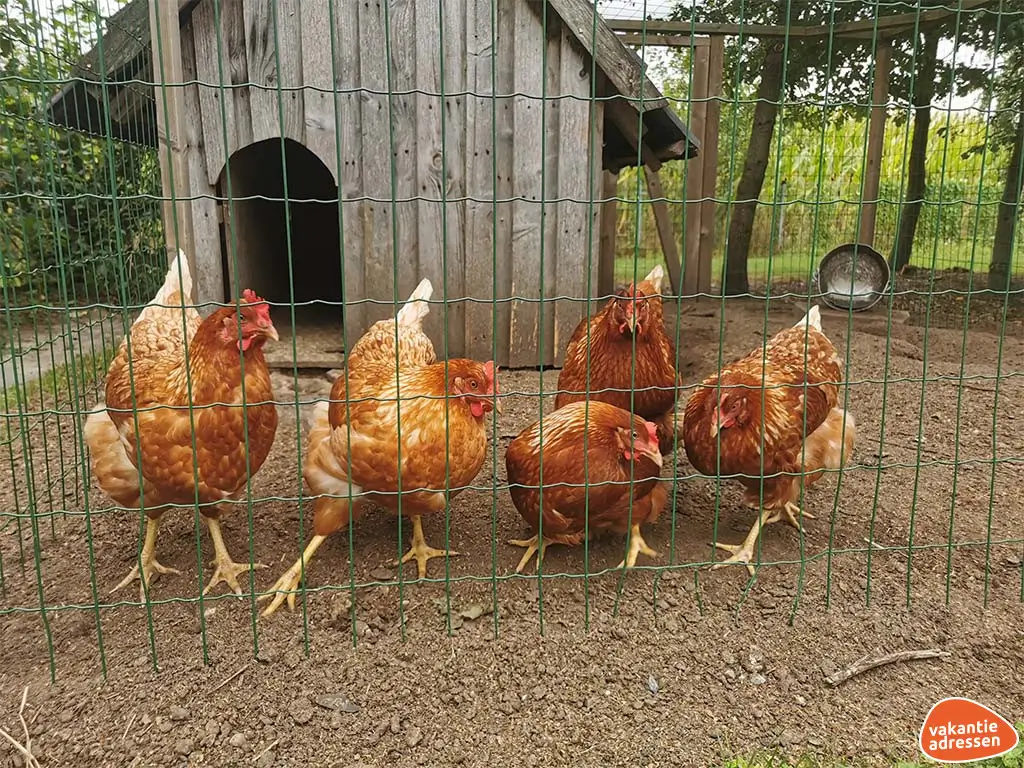 Vakantieadressen accommodatie afbeelding