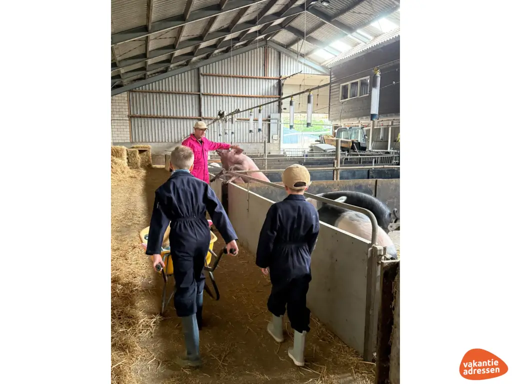 Vakantieadressen accommodatie afbeelding