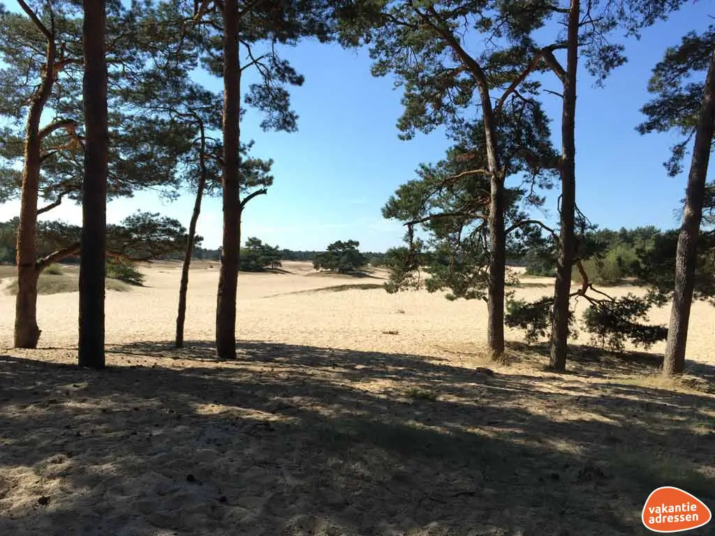 Vakantieadressen accommodatie afbeelding