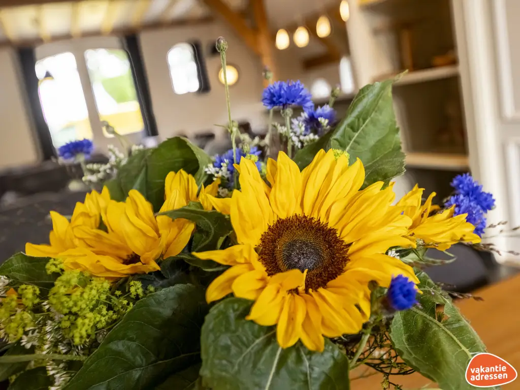 Vakantieadressen accommodatie afbeelding