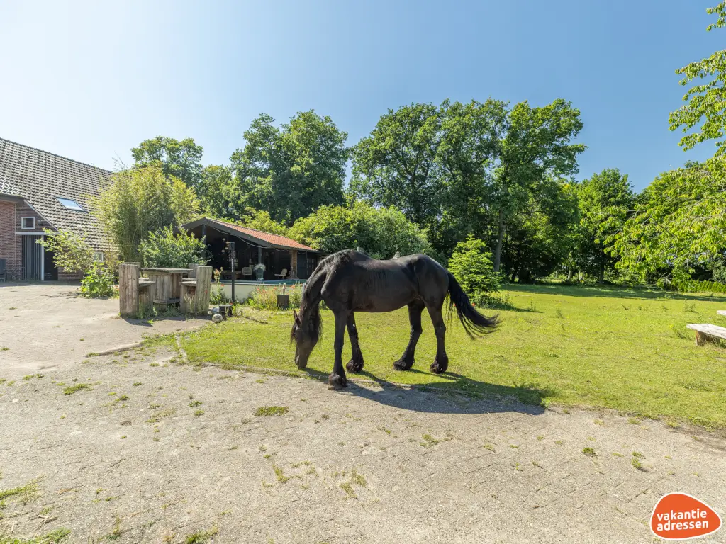 Vakantieadressen accommodatie afbeelding