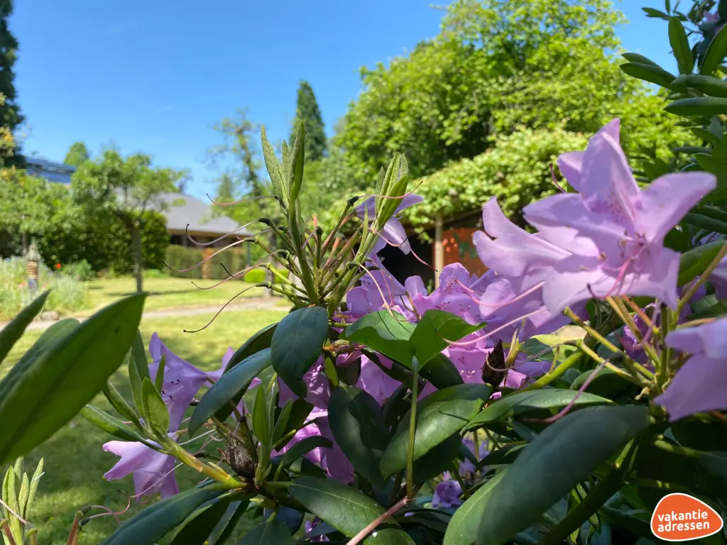 Vakantieadressen accommodatie afbeelding