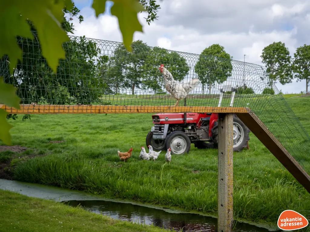 Vakantieadressen accommodatie afbeelding