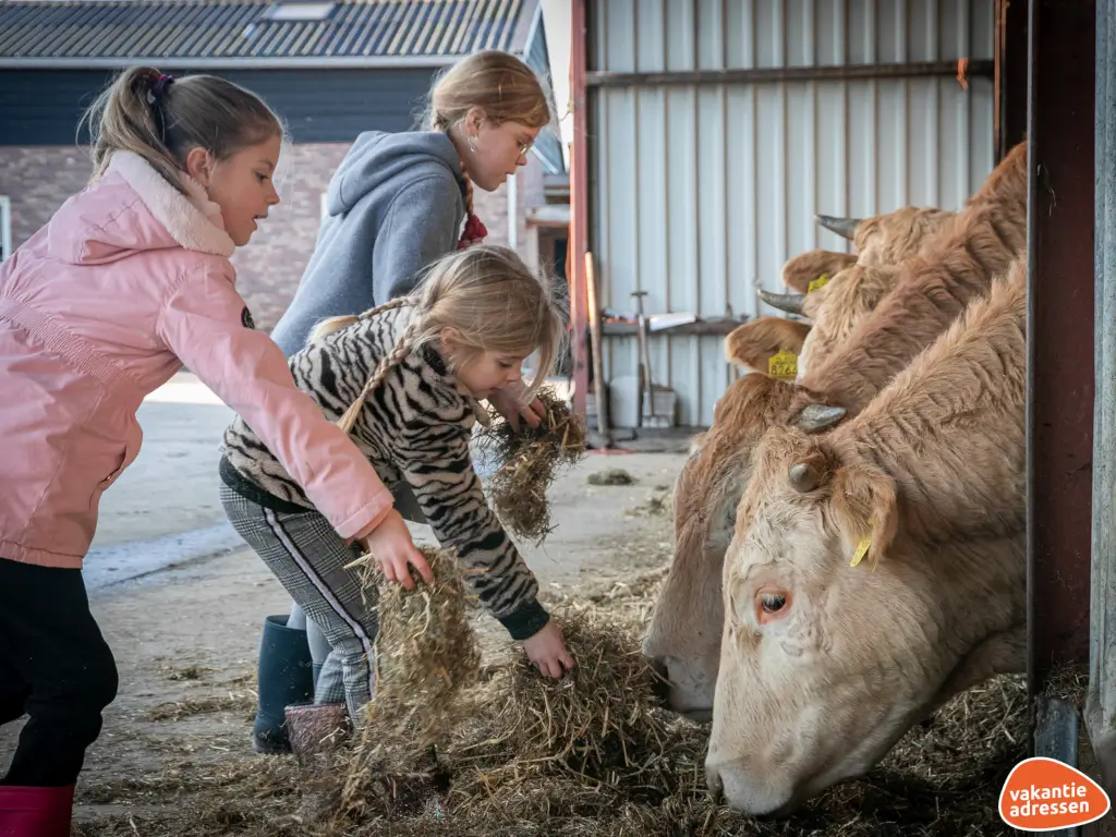 Vakantieadressen accommodatie afbeelding