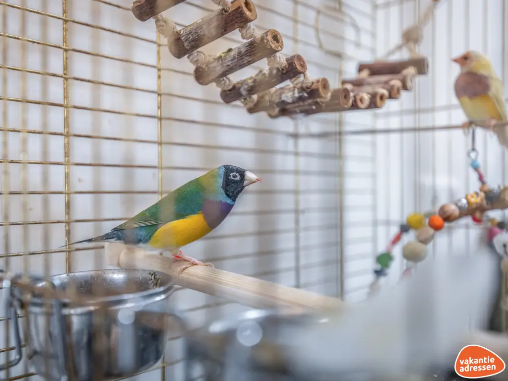 Vakantieadressen accommodatie afbeelding