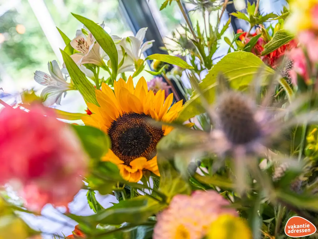 Vakantieadressen accommodatie afbeelding