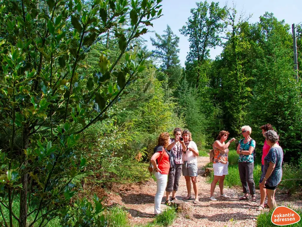 Vakantieadressen accommodatie afbeelding