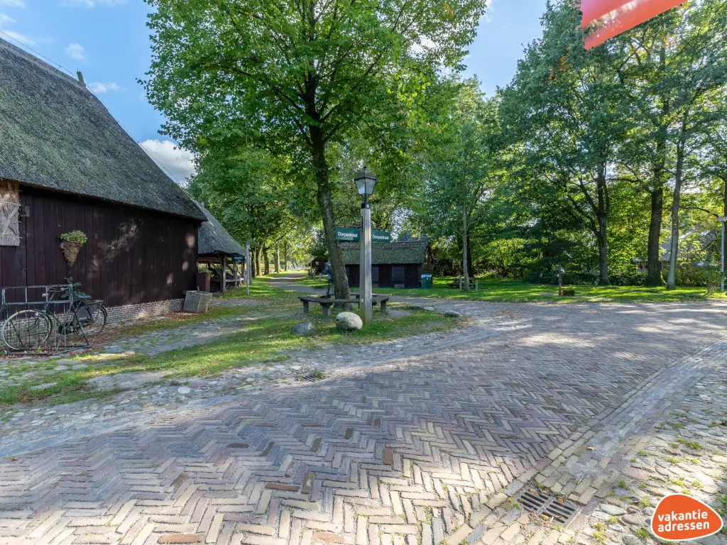 Vakantiehuis in Orvelte (Drenthe) voor 22 personen met 9 slaapkamers.