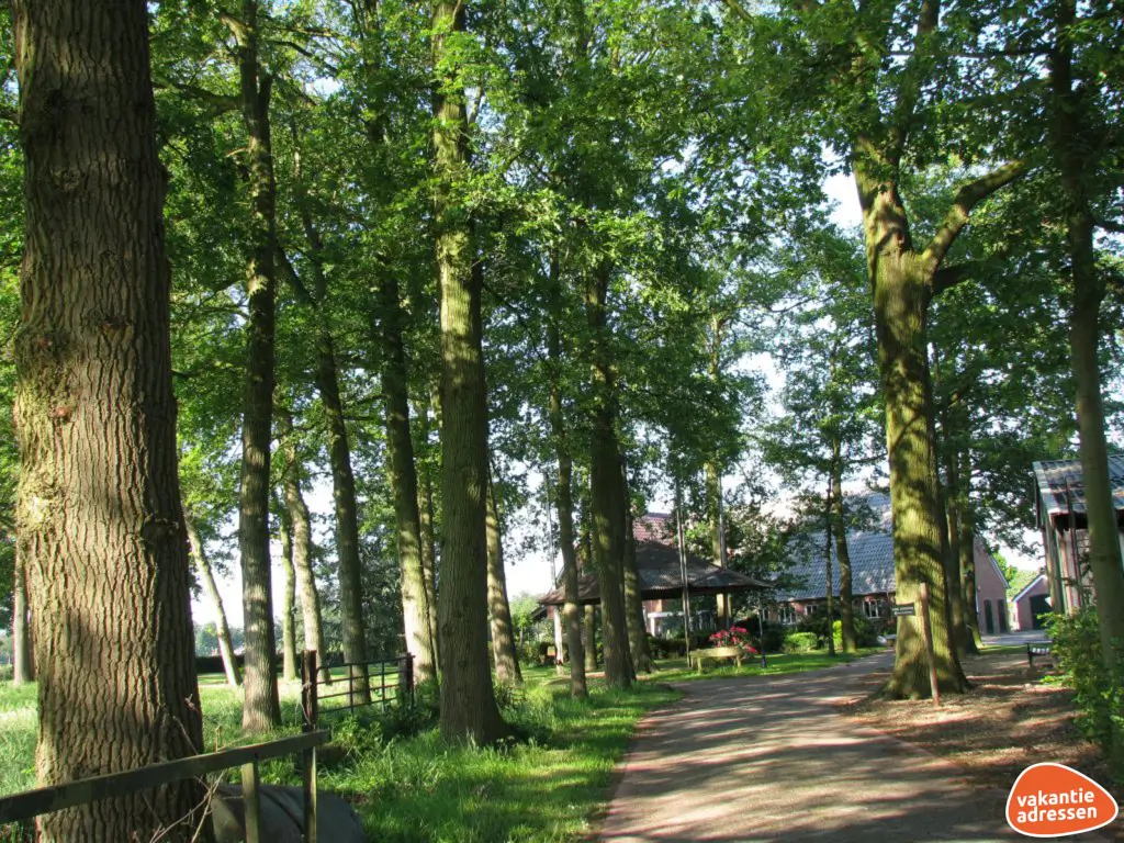 Vakantieadressen accommodatie afbeelding