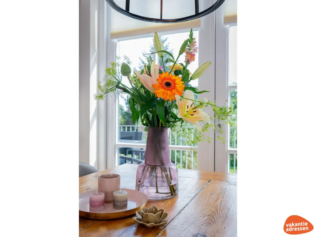 Vakantieadressen accommodatie afbeelding