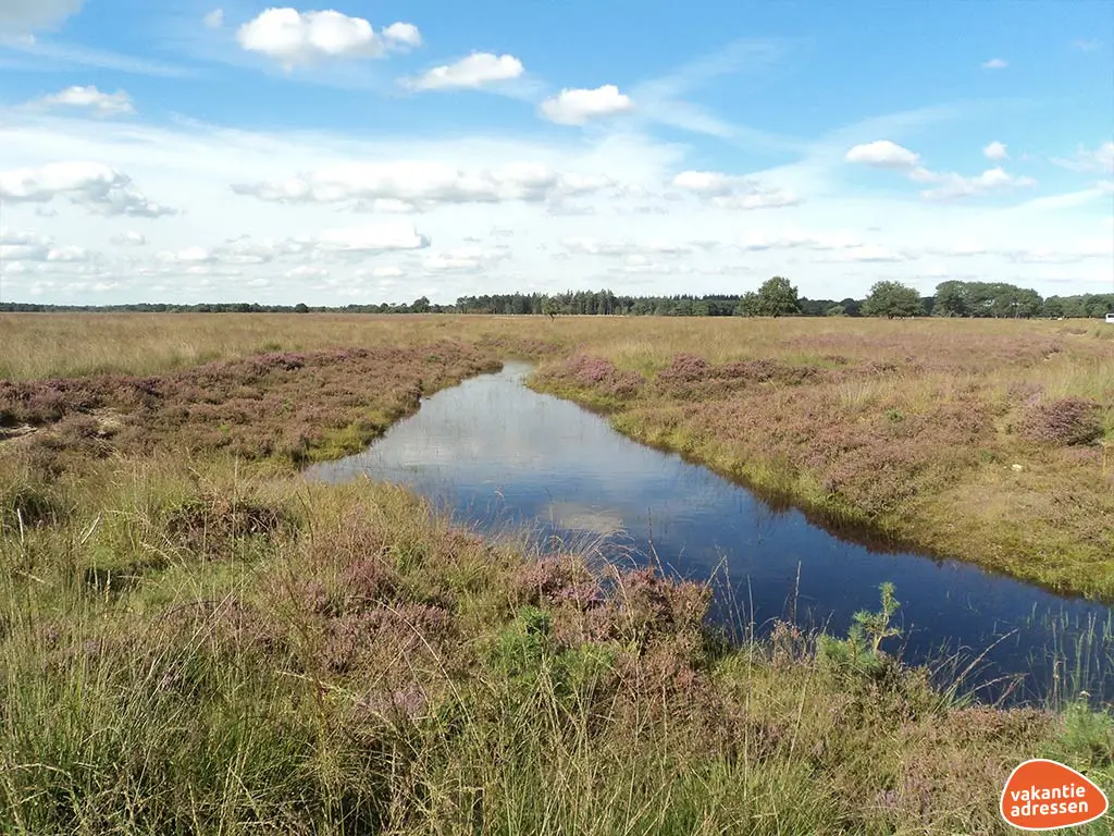 Vakantieadressen accommodatie afbeelding