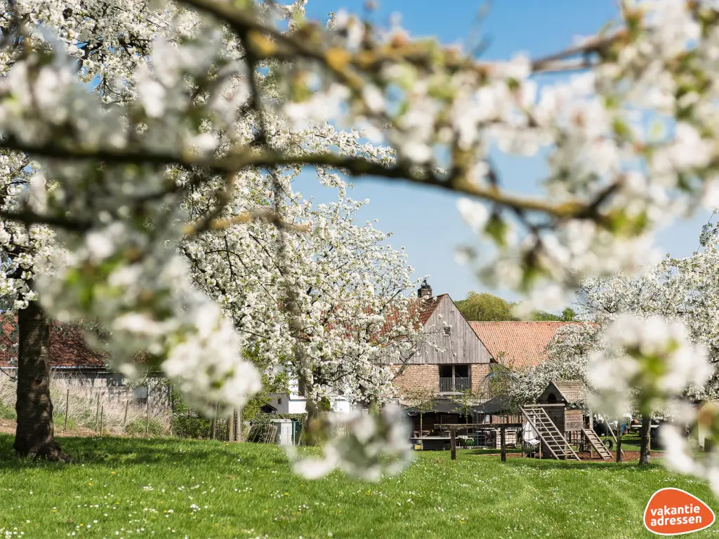 Vakantieadressen accommodatie afbeelding