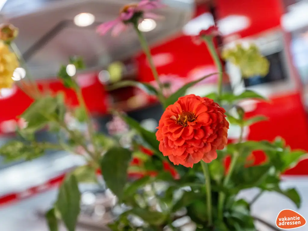 Vakantieadressen accommodatie afbeelding