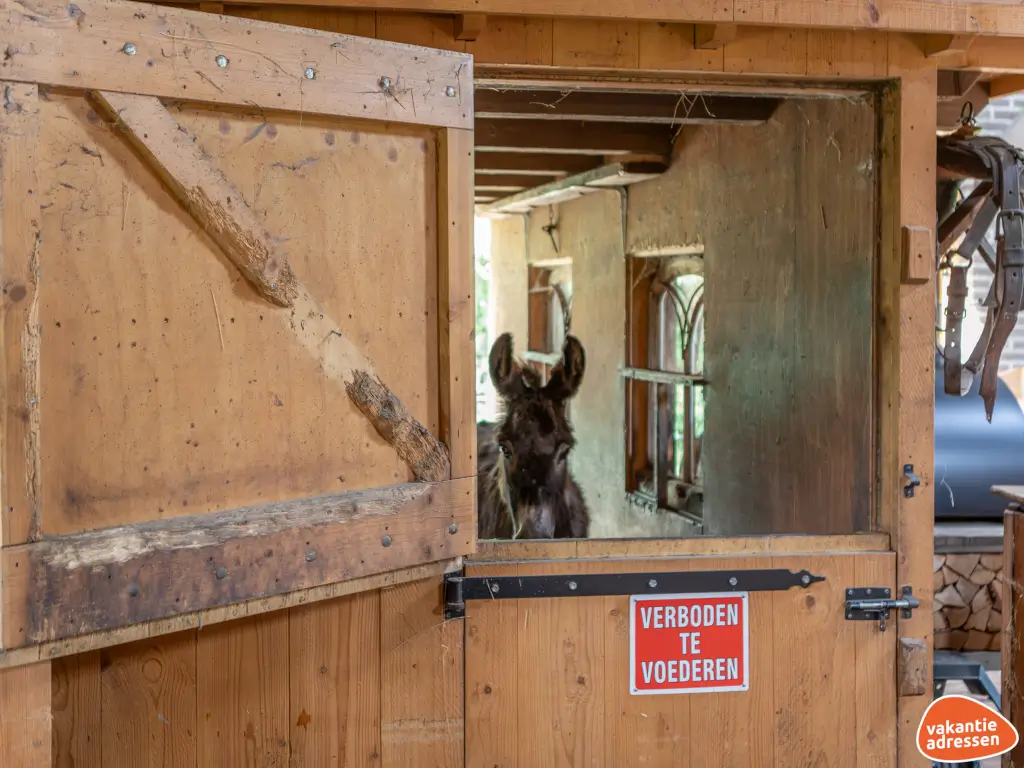 Vakantieadressen accommodatie afbeelding