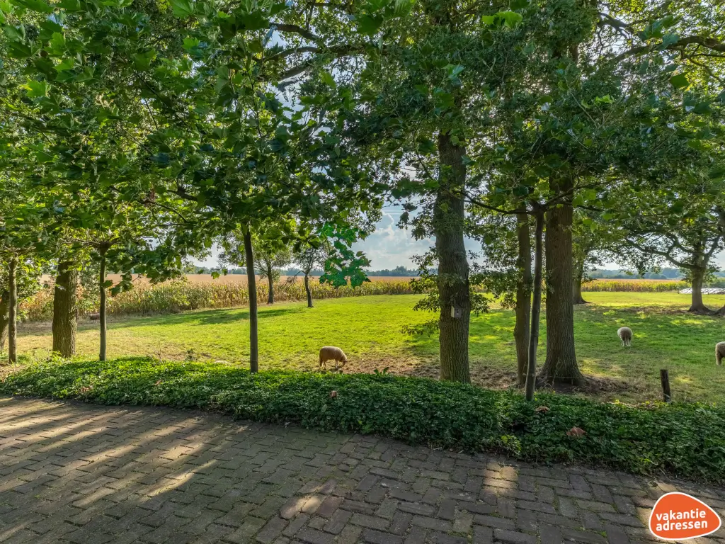 Vakantiehuis in Wielen (Nedersaksen) voor 18 personen met 7 slaapkamers.