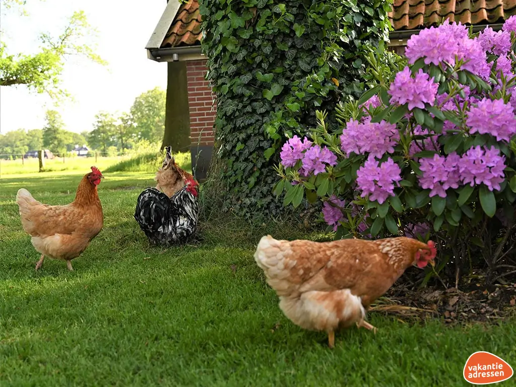 Vakantieadressen accommodatie afbeelding