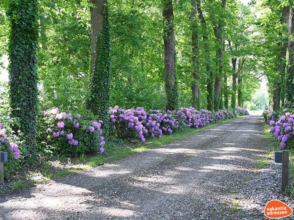 Vakantieadressen accommodatie afbeelding