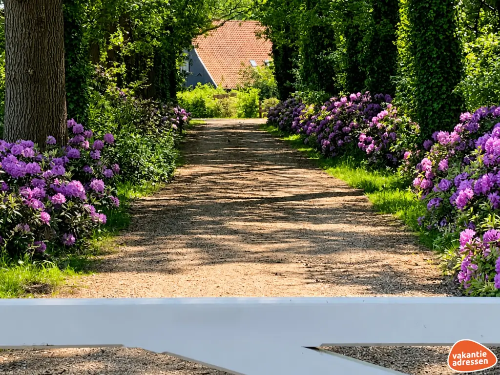 Vakantieadressen accommodatie afbeelding