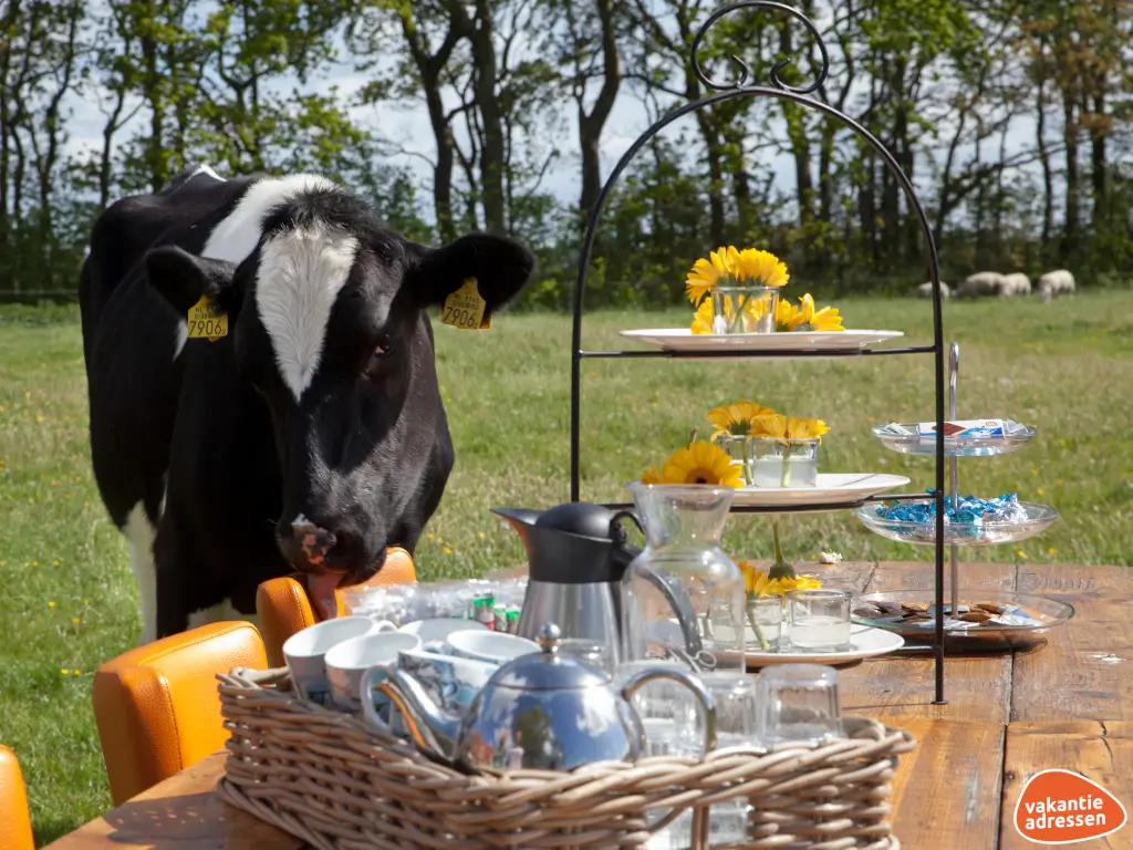 Vakantieadressen accommodatie afbeelding