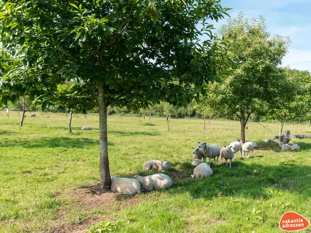 Vakantieadressen accommodatie afbeelding