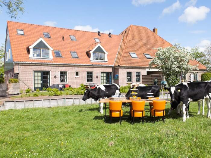Vakantiehuis in Oudesluis (Noord-Holland) voor 22 personen met 11 slaapkamers.