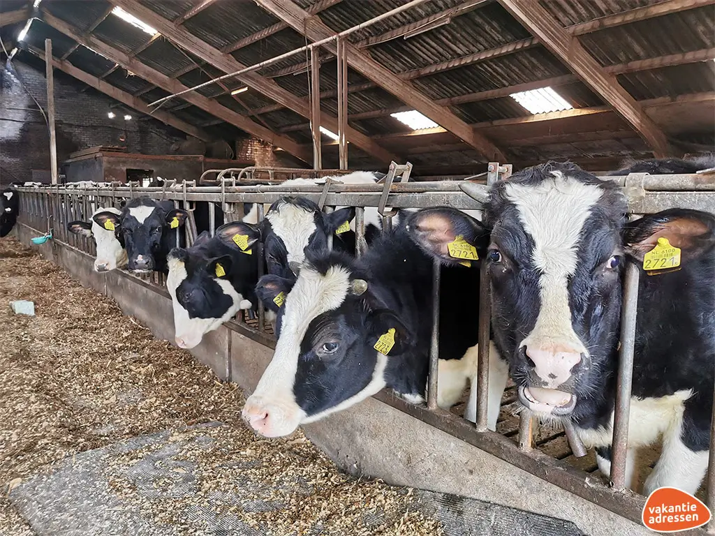 Vakantieadressen accommodatie afbeelding